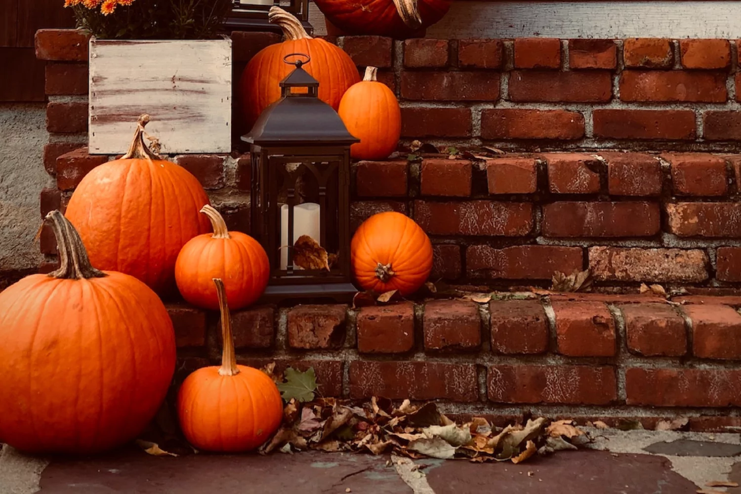 pumpkins and a lantern decorating a brick staircase oustide