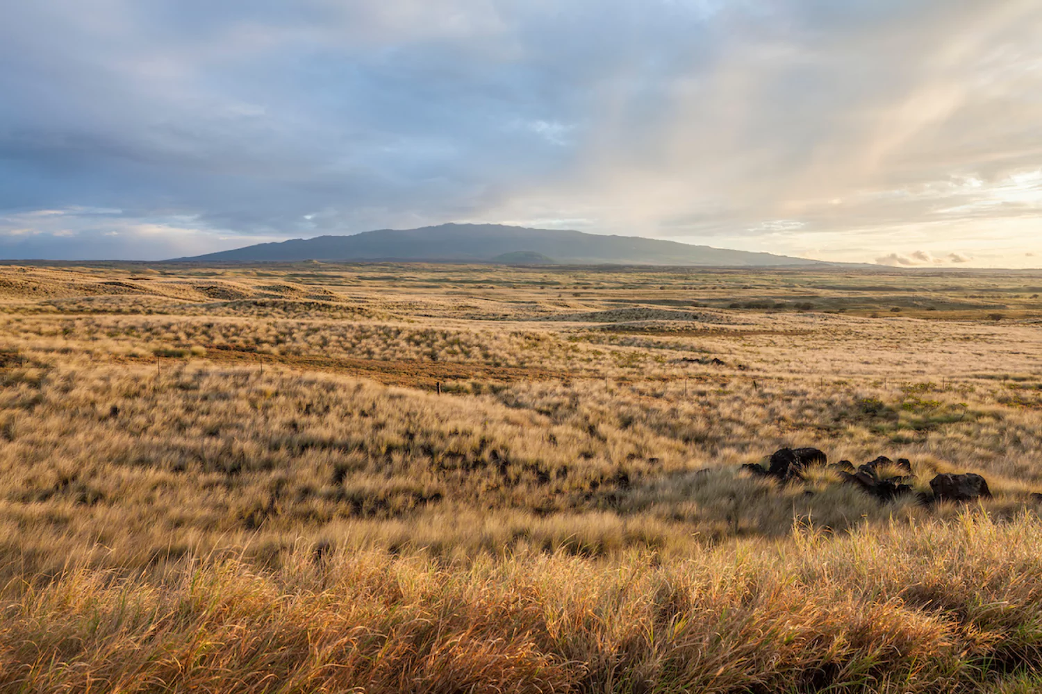 landscape photo of a dry plain where people might have pitched their tents, pointing to the reality that "the power of Christ pitches his tent with us in our weakness."