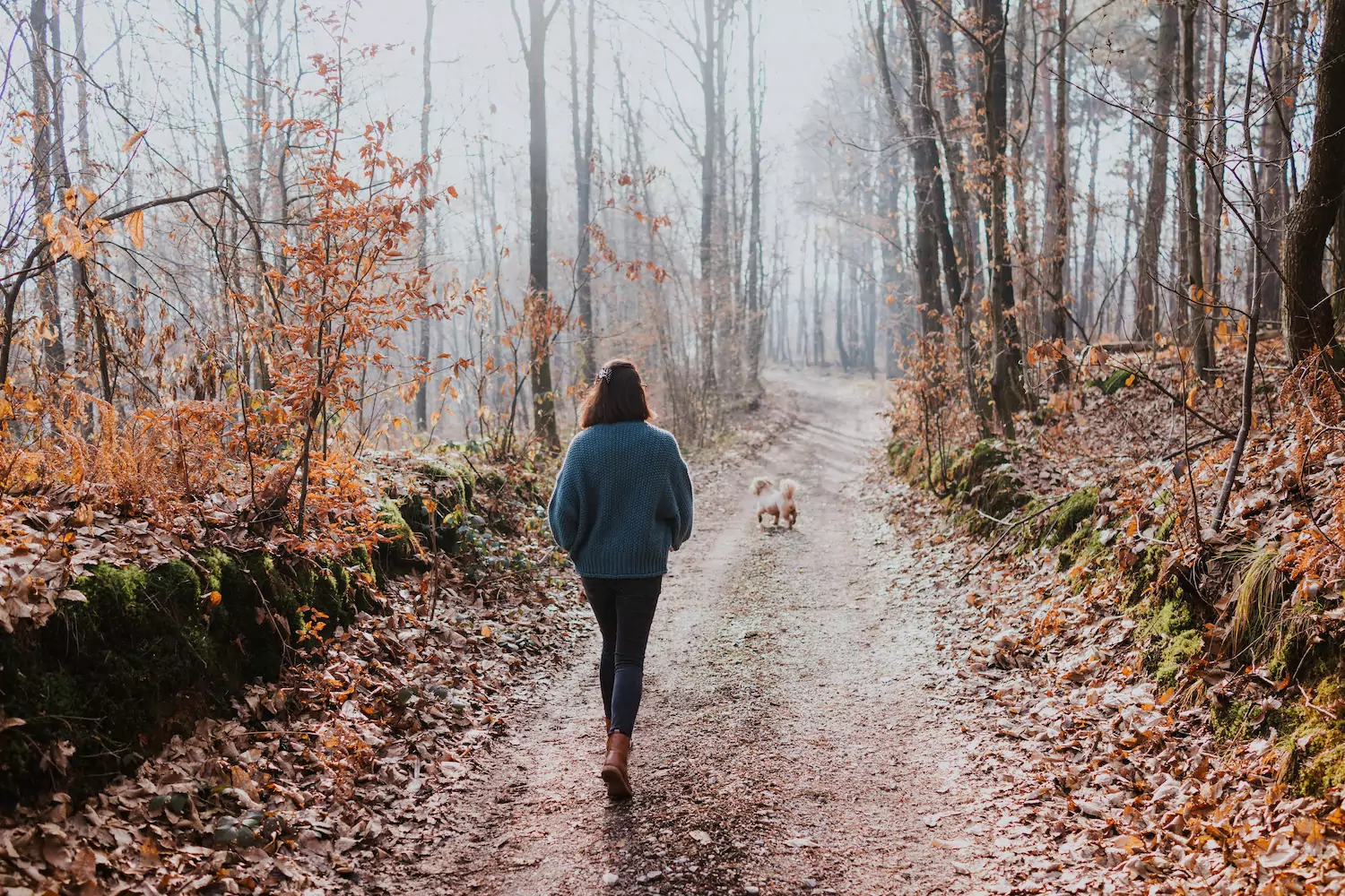A pastor's wife walks through the woods following her little dog, thinking about leaving false guilt behind.