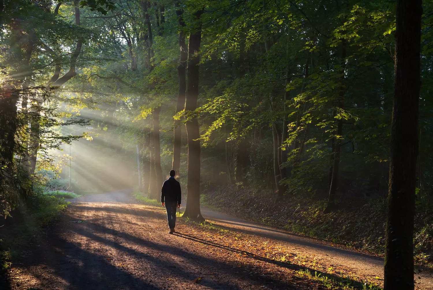 A pastor walks in the forest to pray.