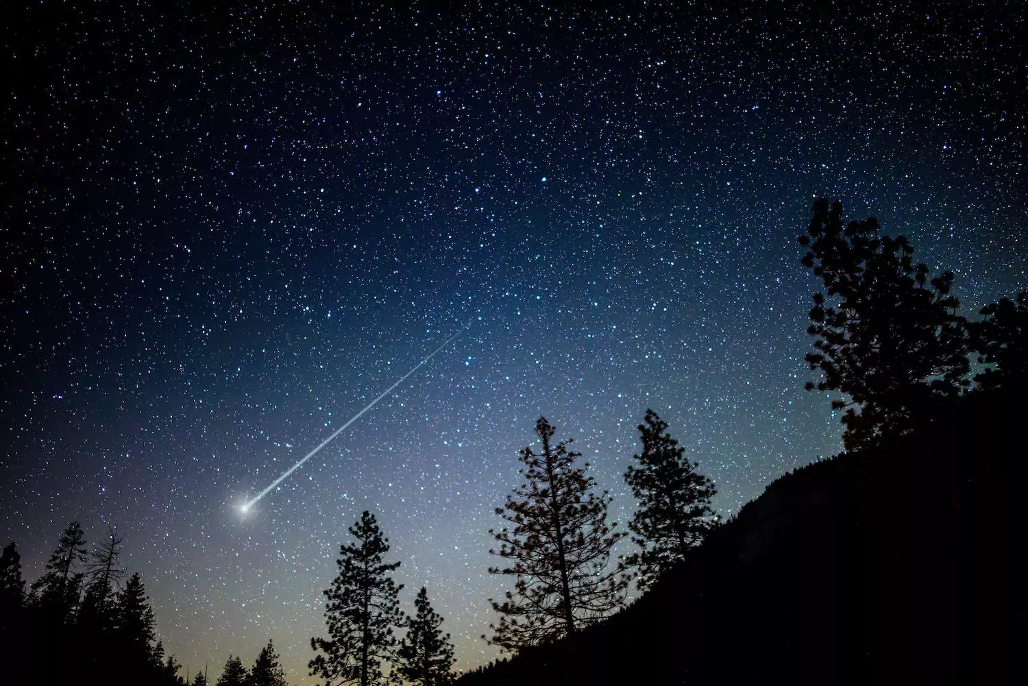 A shooting star flies above pine trees, reminiscent of the night of the incarnation.