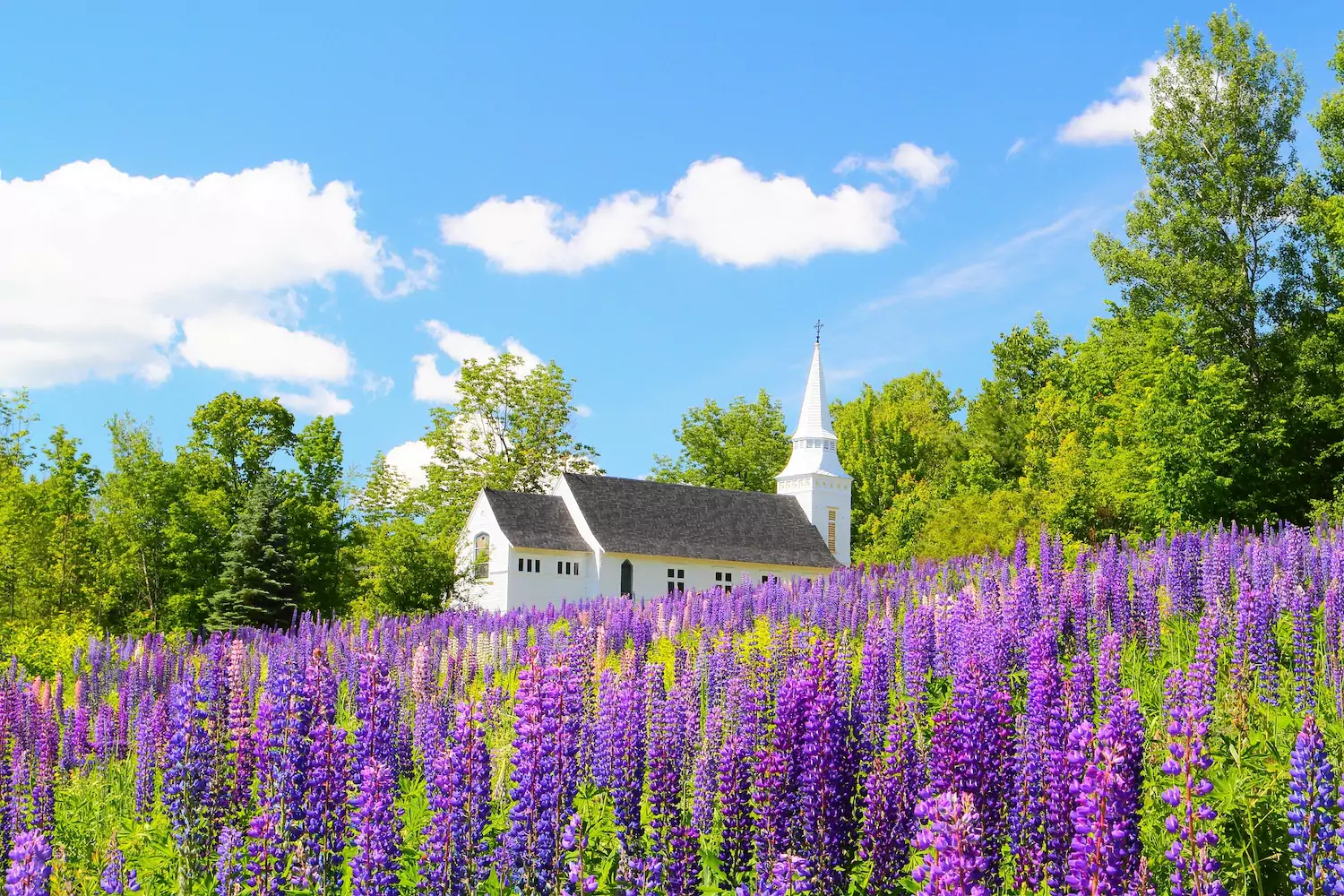 A little white church in the springtime.